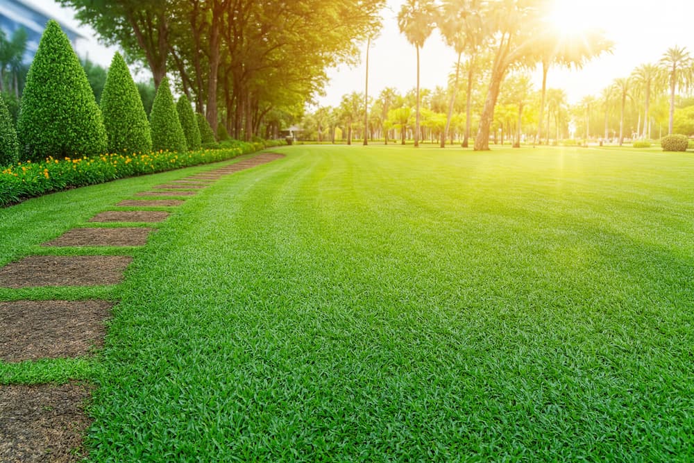 Сад під доглядом